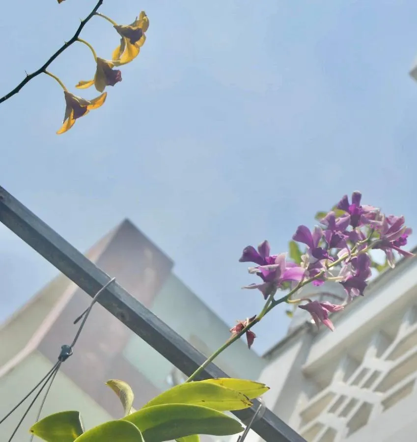 The House 36 Apartamento Hoi An 0*,  Vietname